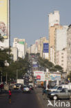 Maputo