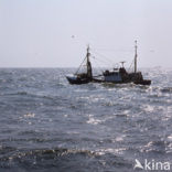 Noordzee