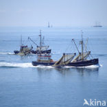 Waddenzee