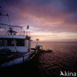 Waddenzee