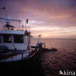 Waddenzee