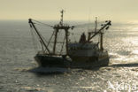 Waddenzee