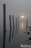 Waddenzee