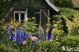 Garten Stenkamp