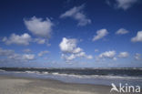 Noordzeestrand