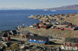 Scoresby Sund