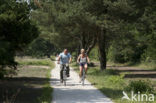 Nationaal Park Dwingelderveld