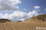 Nationaal Park Drents-Friese Wold