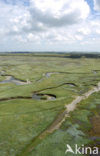 Nationaal Park Duinen van Texel 