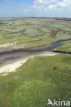 Nationaal Park Duinen van Texel 