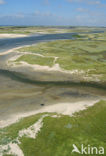 Nationaal Park Duinen van Texel 