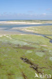 Nationaal Park Duinen van Texel 