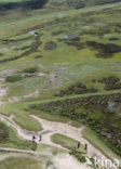 Nationaal Park Duinen van Texel 