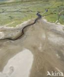 Nationaal Park Duinen van Texel 