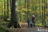 Nationaal park Beierse Woud