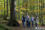 Nationaal park Beierse Woud