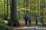 Nationaal park Beierse Woud