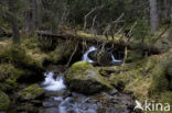 Nationaal Park Nockberge