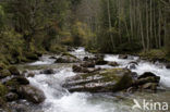 Nationaal Park Nockberge