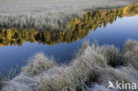 Nationaal Park Nockberge