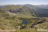 Nationaal Park Nockberge