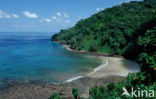 Cocos Island