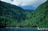 Cocos Island