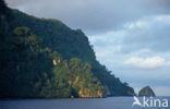 Cocos Island