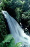 La Paz Waterfall Gardens