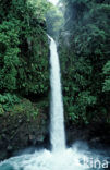 La Paz Waterfall Gardens