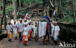 Sacred Monkey Forest Sanctuary