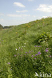 Nationaal Park de Biesbosch