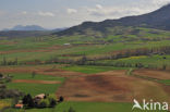 Midi-Pyrénées