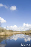 Nationaal Park Weerribben-Wieden