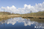 Nationaal Park Weerribben-Wieden