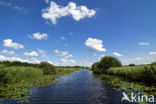 Nationaal Park Weerribben-Wieden