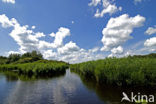 Nationaal Park Weerribben-Wieden