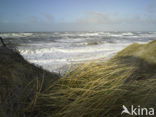 Noordzee