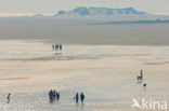 Noordzee