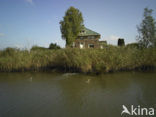 Nationaal Park de Biesbosch