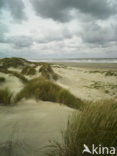 Noordzee