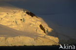 South Shetland islands