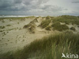 Terschelling