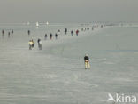 Markermeer