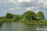 Nationaal Park de Biesbosch