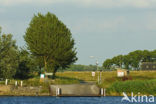 Nationaal Park de Biesbosch