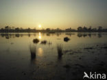 Nationaal Park Drents-Friese Wold