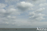 Nationaal Park Oosterschelde