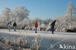 Nieuwkoopse Plassen