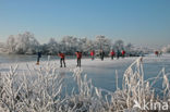 Nieuwkoopse Plassen